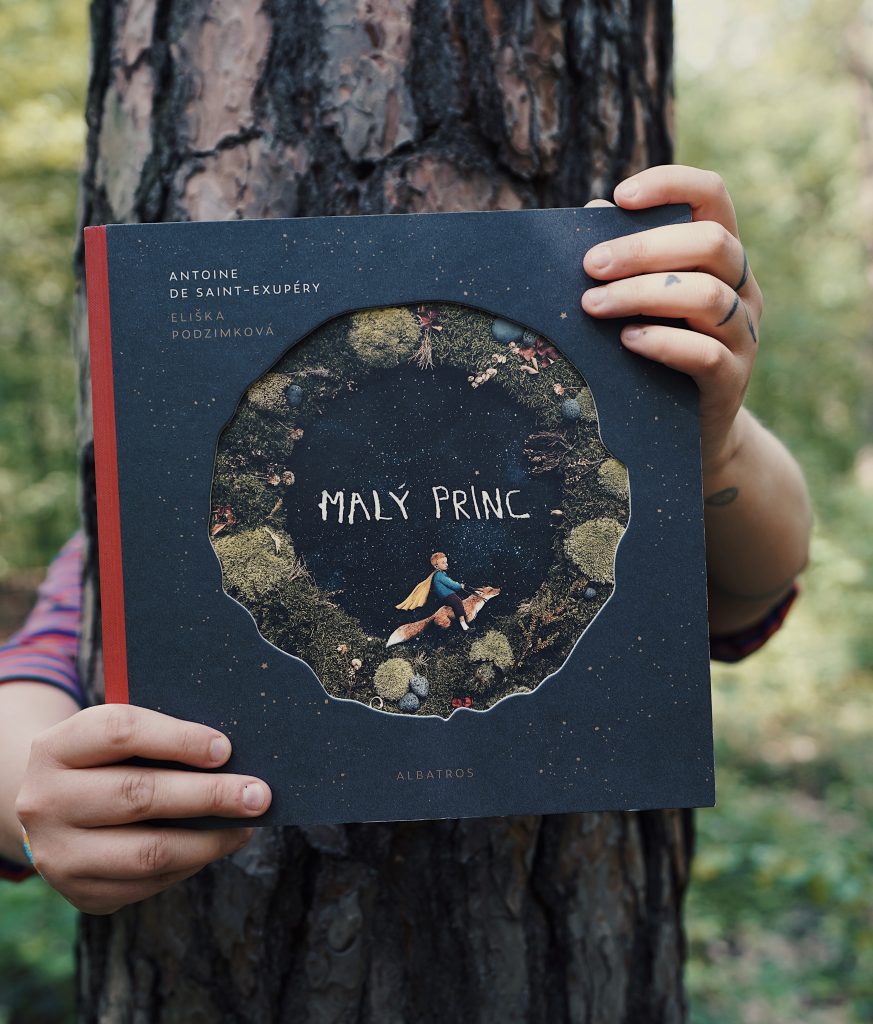 Soutěž o lístky na výstavu Sopka les prales