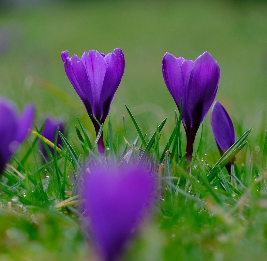 Nový díl podcastu Zámecký obývák se Zuzanou Hegmonovou