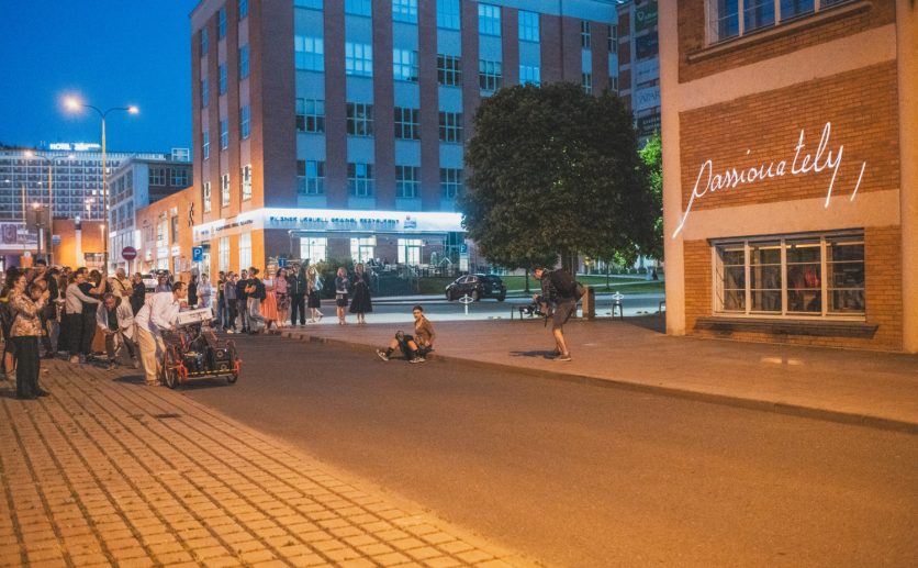 Fotogalerie: Luminous Daisies