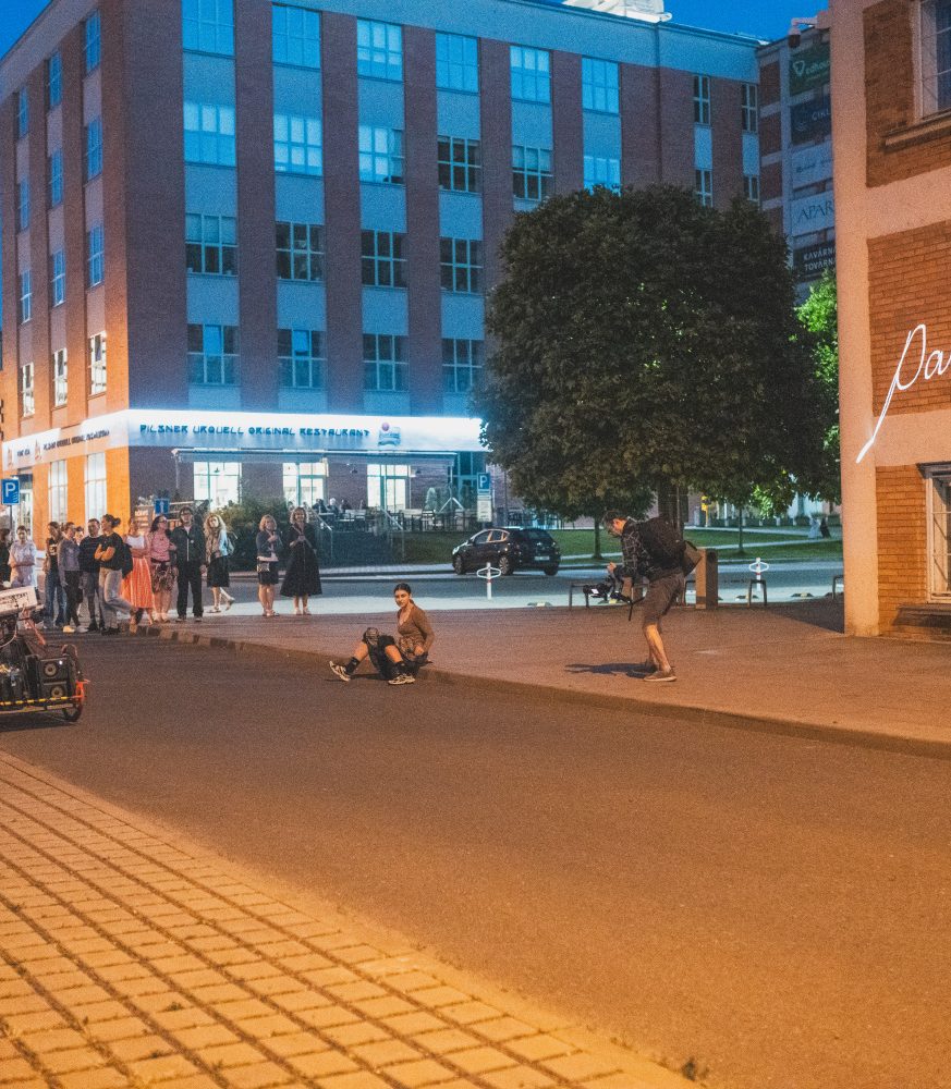 Fotogalerie: Luminous Daisies