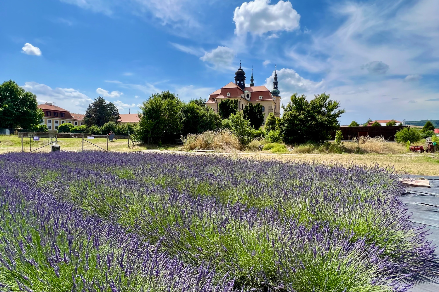 titulní obrazek události 'Levandulové pole Velehrad (den otevřených dveří)'