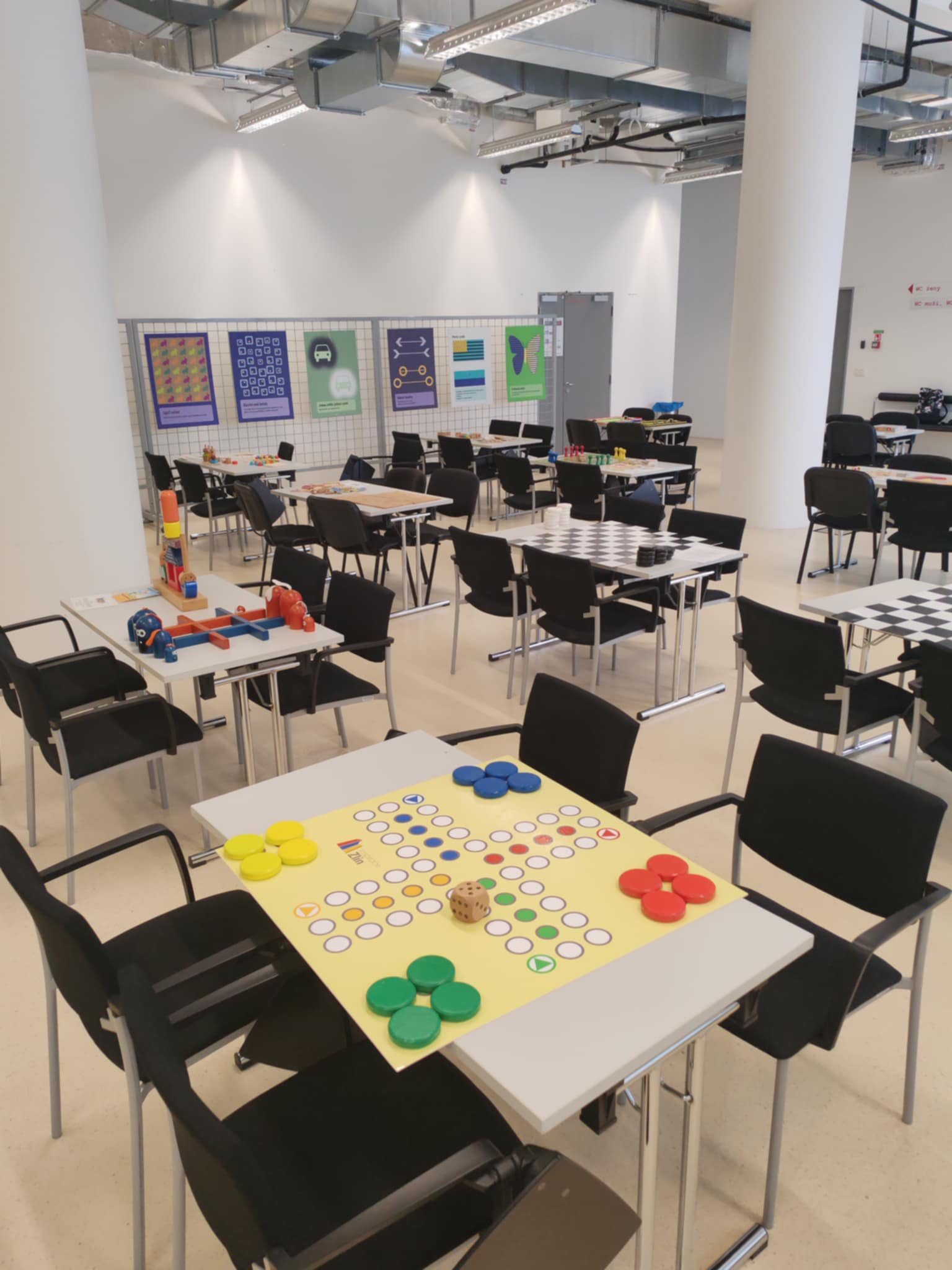 titulní obrazek události 'Letní Festival IQ Play'