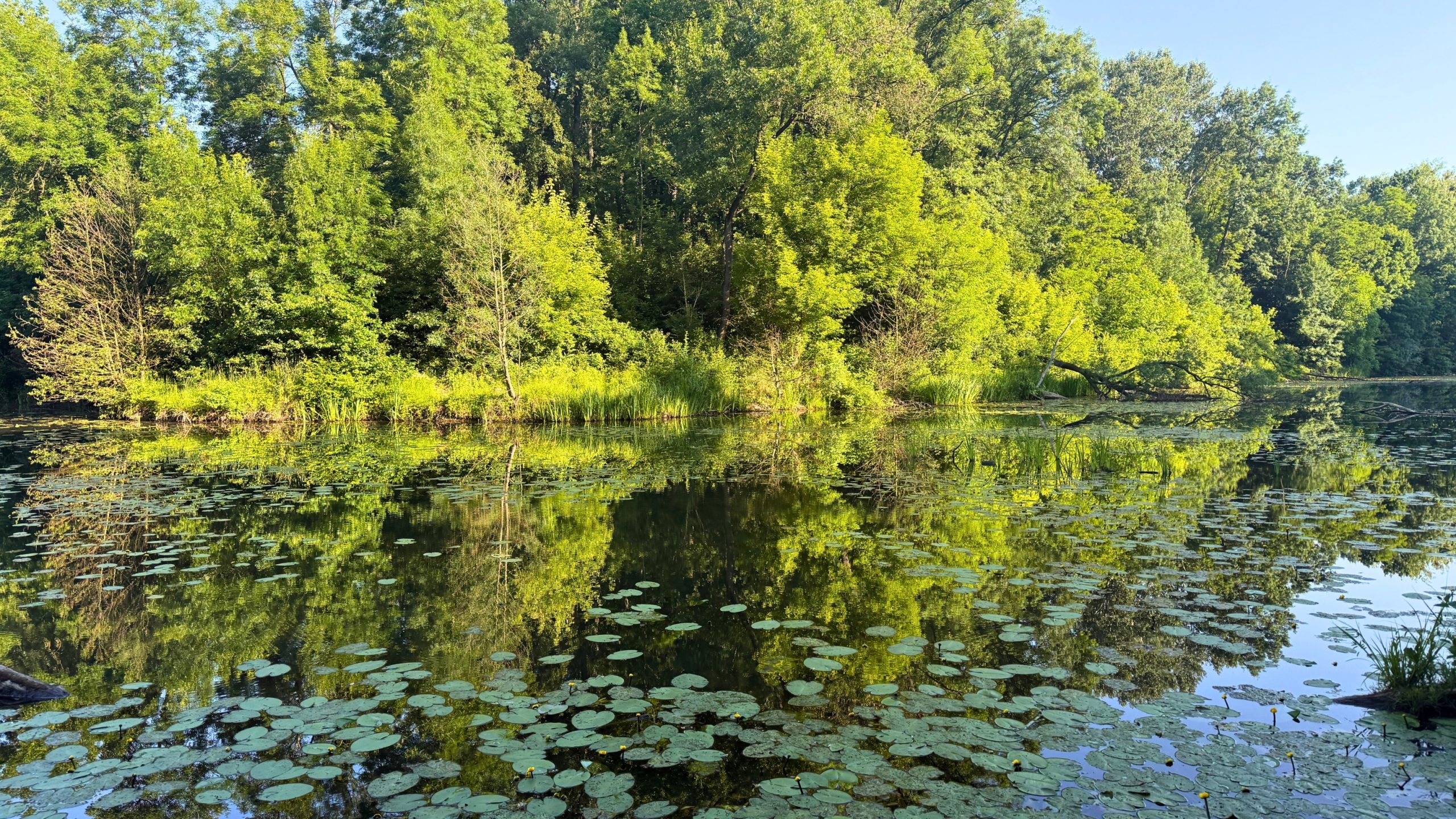 titulní obrazek události 'Křehká krajina – Matyáš Adam & Leona Vyhnálková, UTB ve Zlíně'