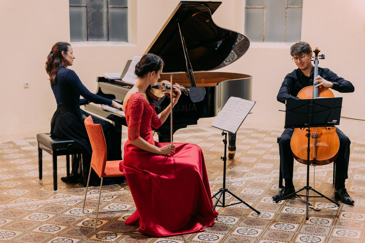 titulní obrazek události 'Festival vážné hudby Pocta Rudolfu Firkušnému'