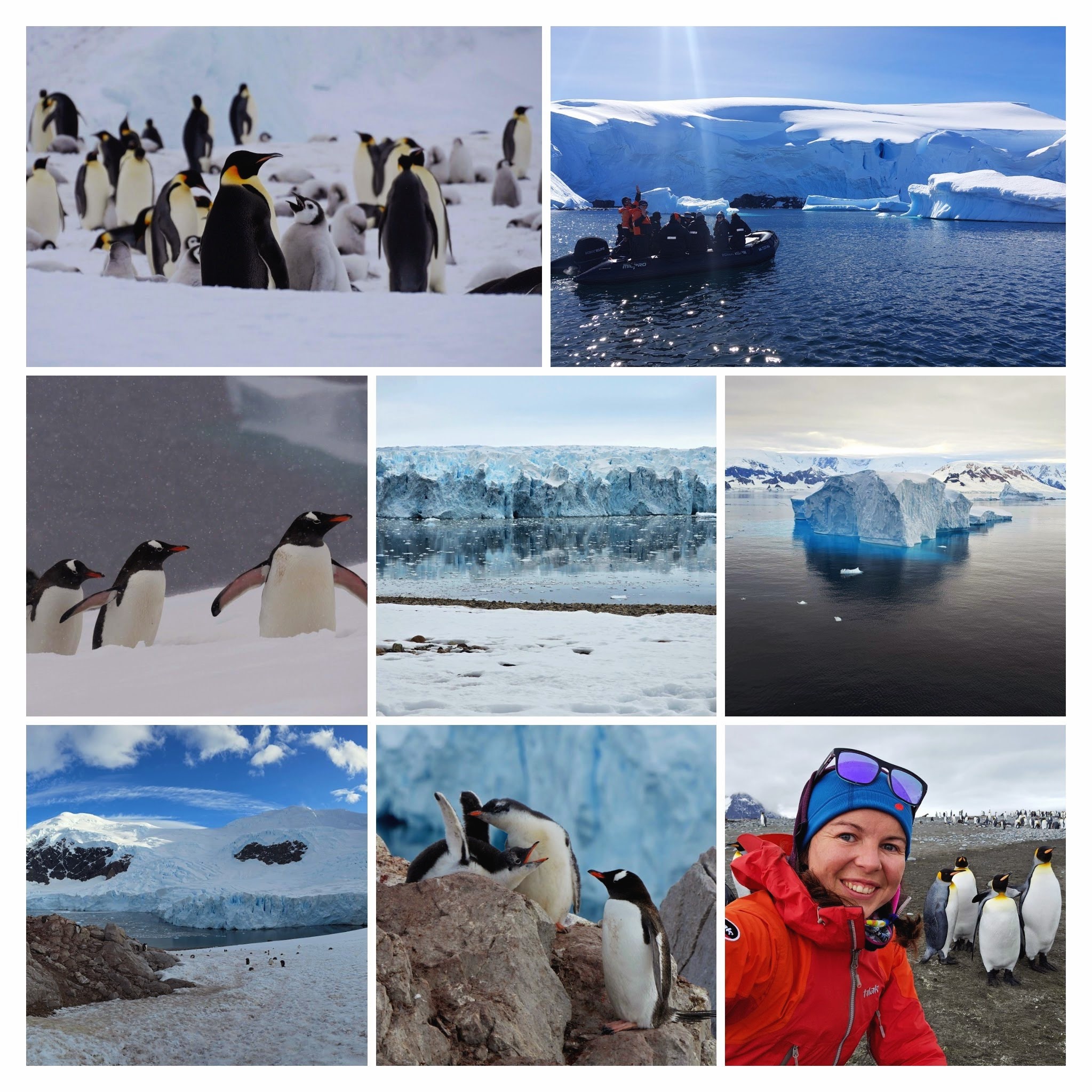 titulní obrazek události 'ANTARKTIDA A JIŽNÍ GEORGIE | drsná krása ledové přírody a zvířat'