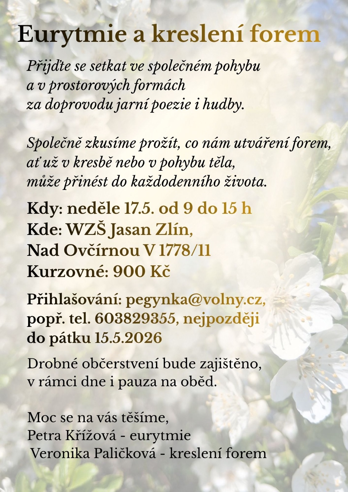 titulní obrazek události 'Eurytmie a kreslení forem'