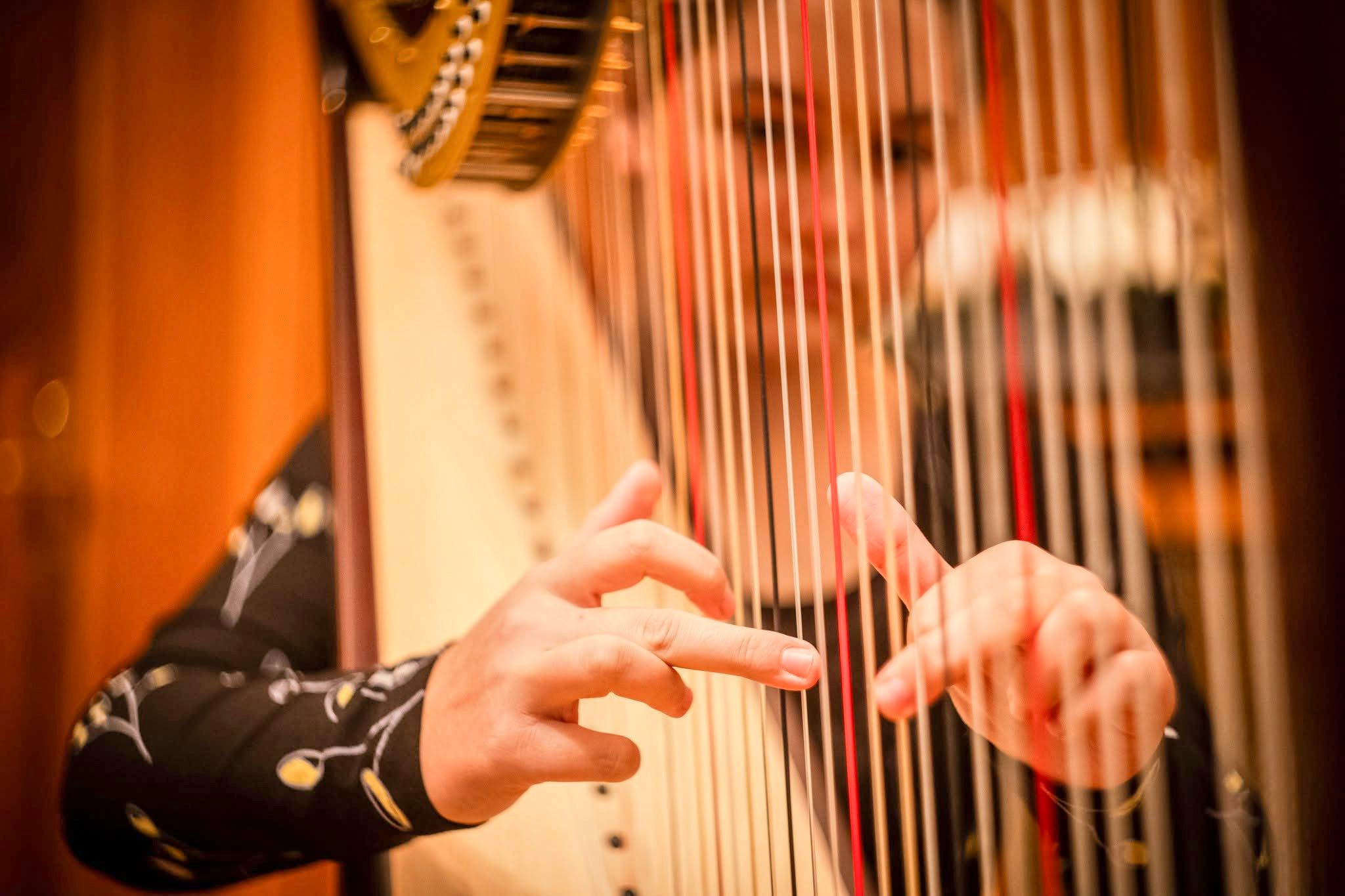 titulní obrazek události 'Podzimní /nejen harfový/ koncert'