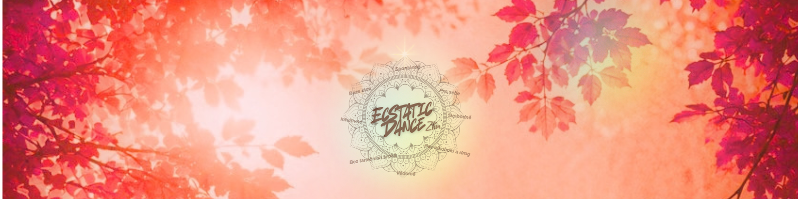 titulní obrazek události 'ECSTATIC DANCE FAMILY Rituál Magického lesa'